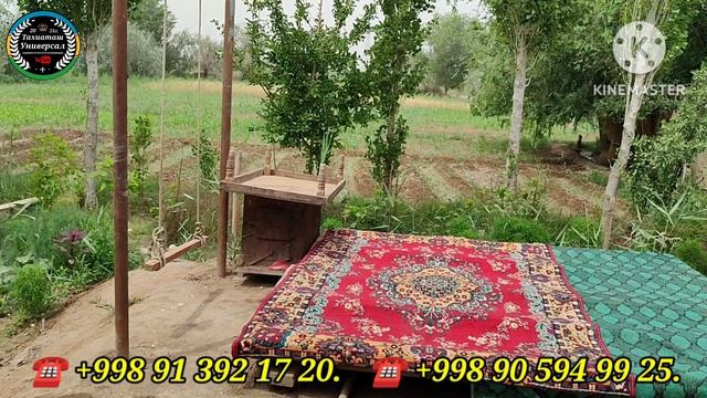 09-06-2025 ЖИЛОЙ ДОМ 🏡