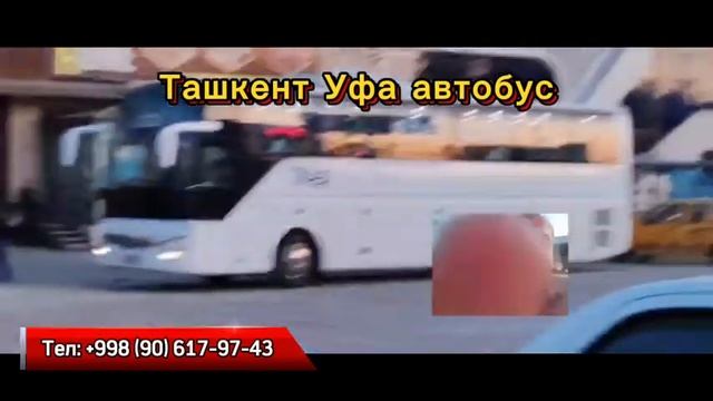 ташкент-уфа автобус прямой рейс давлат рейслари без п?