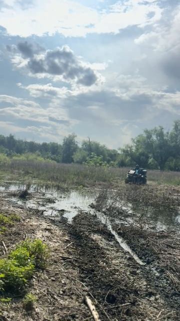 грязь на 650