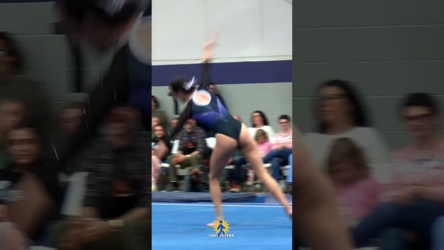 Gymnastics