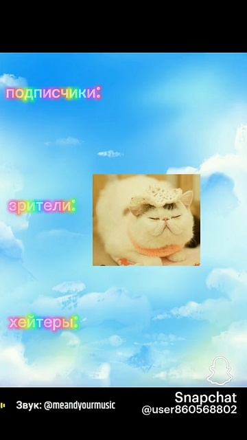 🐱