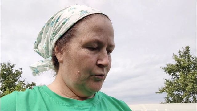 08.06.2025. Утренний обход. Посадила остатки лука. Рассадила свёклу. Прополола морковь. Дождь.
