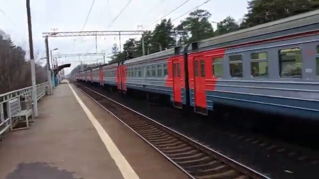 Электропоезда ЭД4М-0491 и ЭД4М-0335 на платформе Заря, Горь?