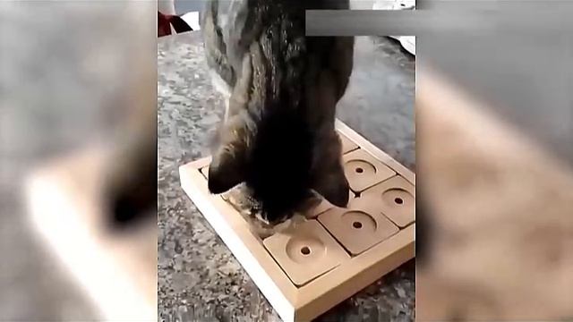 Всячинки