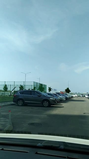 Краснодар 09.06.25 температура воздуха днём