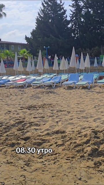 пляж Lonicera Resort #отелитурции #lonicera #отпуск #пляжавсаллар