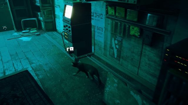 Stray