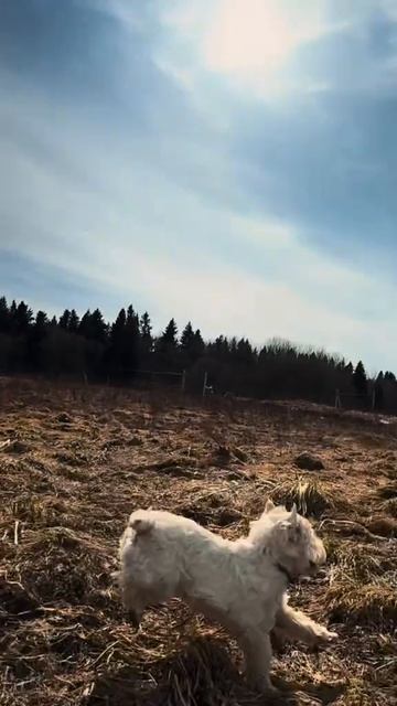 БАНЯ ПИТЕР🌳🪵🔥