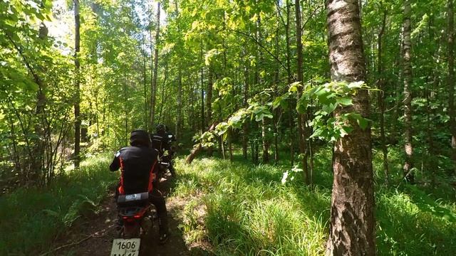 на эндуро боремся в лесу по бревнам
