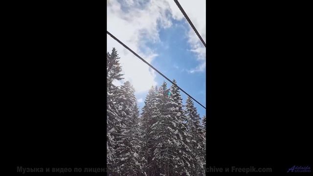 Вы не поверите, что это реальность - пока не услышите! - Bass Of Hearts -- Podington Bear -- The Hum