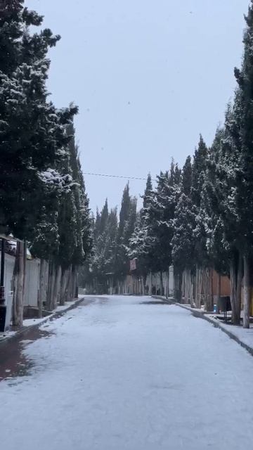 Крым погода сегодня