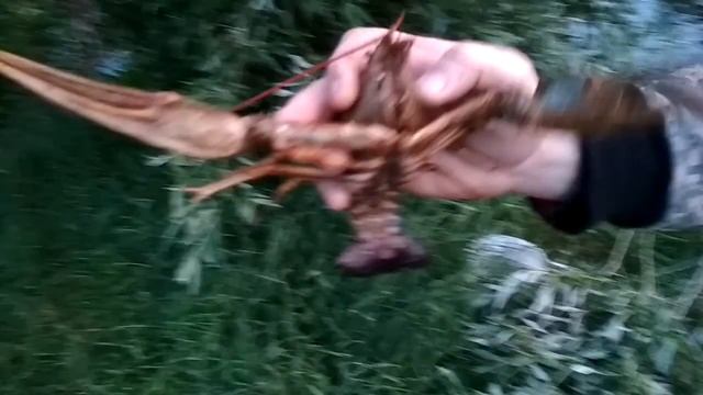 Как поймать рака руками с берега. Секретный способ ловли раков.
