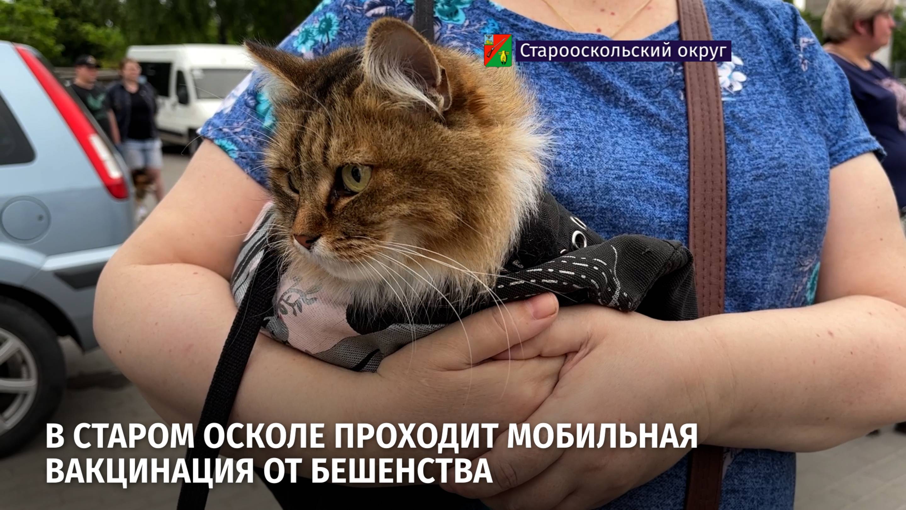 В Старом Осколе проходит мобильная вакцинация от бешенства