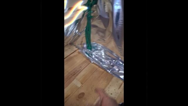 1000025916.mp4 (Собака следит за планированием приточно-вытяжной вентиляции в доме А-фрейм)