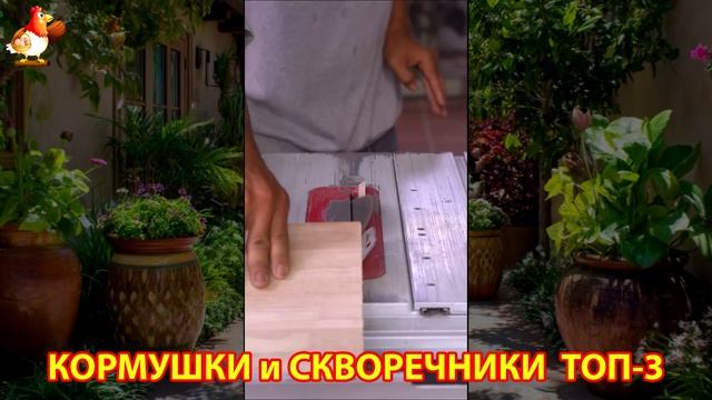 Кормушки и скворечники своими руками для птиц ТОП-3 (45) 🪚🪛🔨 Идеи для дачи и сада пошагово ❣️