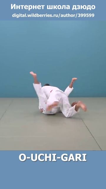 Интернет школа дзюдо. O-UCHI-GARI2