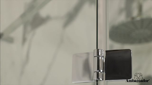 Amnbassador Diamond 120111112L