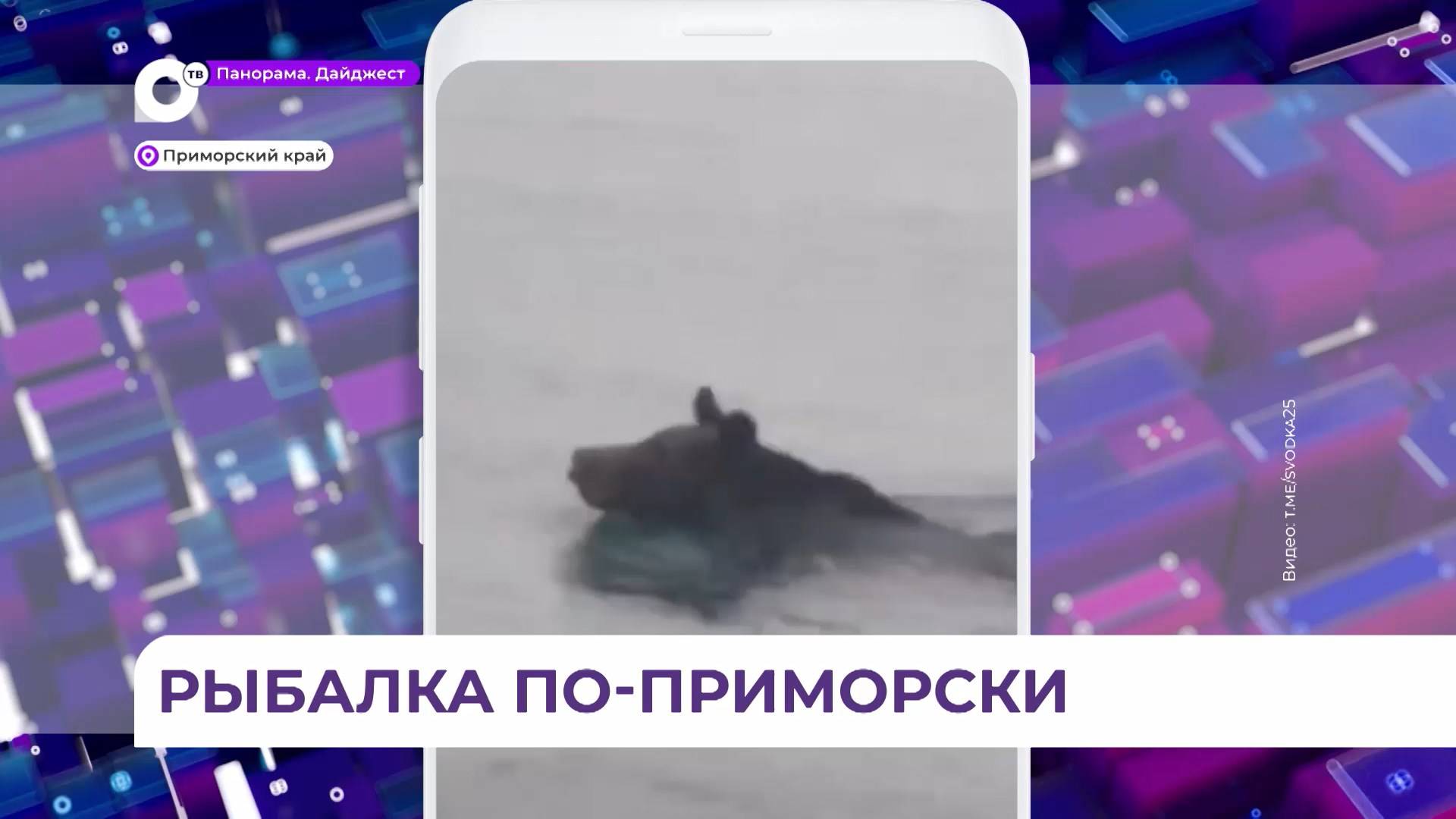Неделя у приморских рыбаков началась с неожиданной конкуренции
