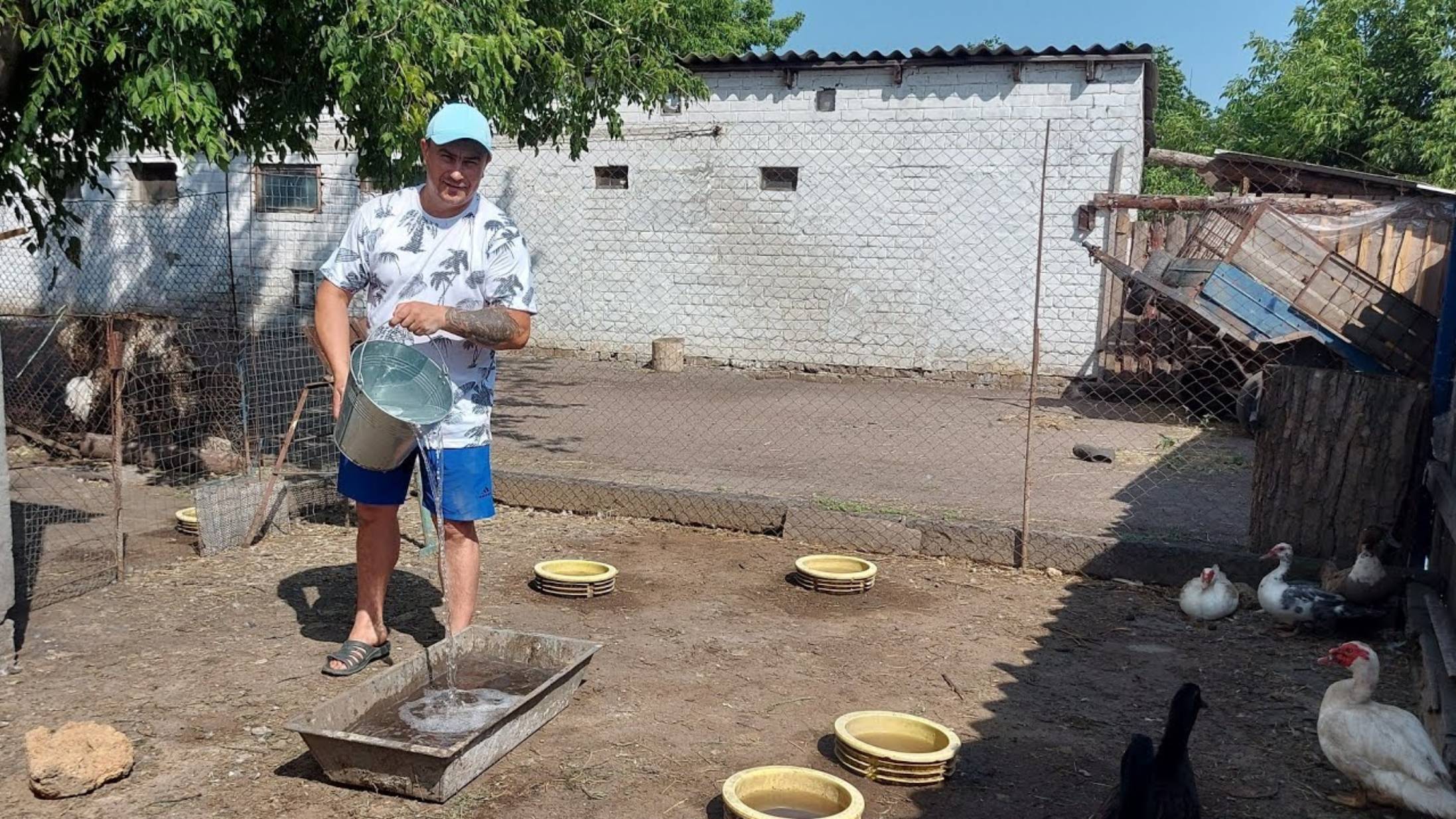 Саня Новиков. Ещё рано!!! Начала делать гнездо.