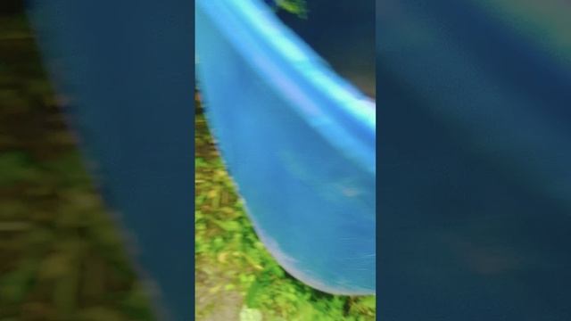 VID20250608115817.mp4