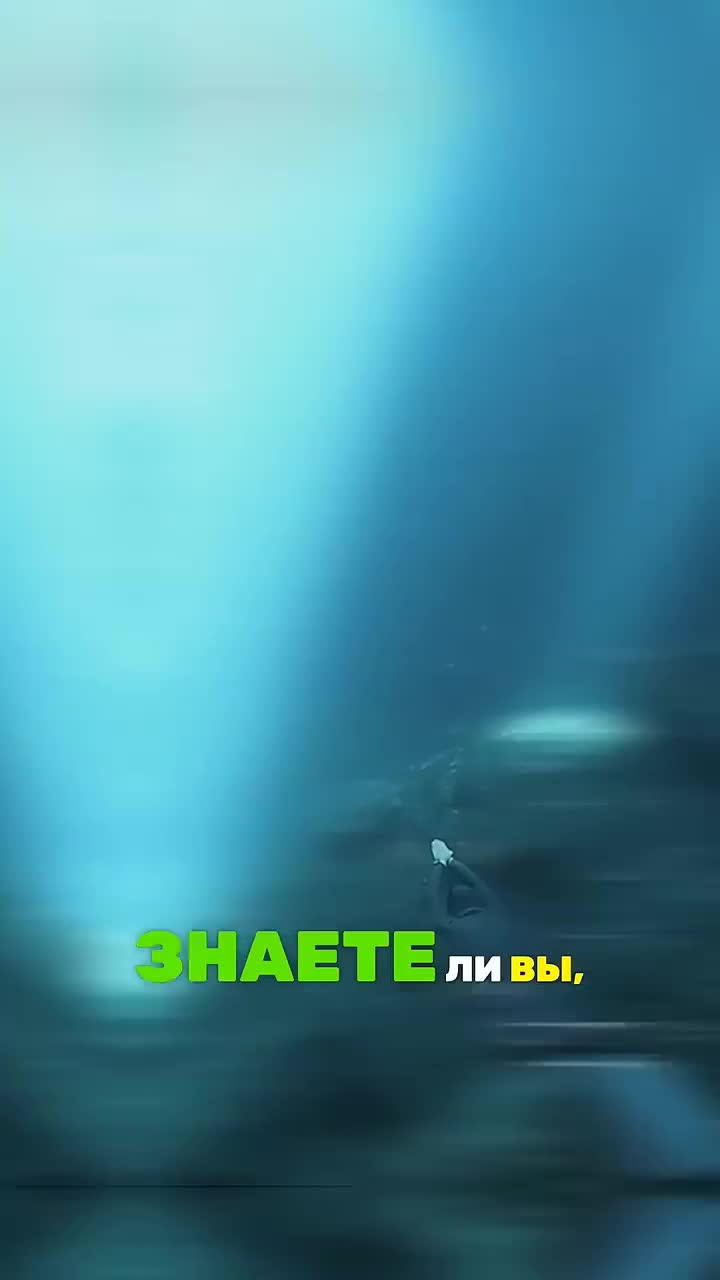 Океан – крупнейшее КЛАДБИЩЕ?