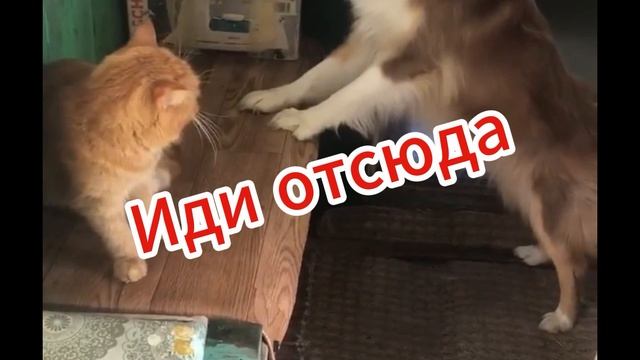 Едем на дачу