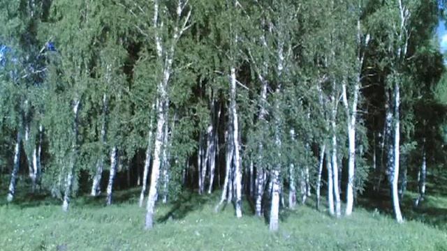 красота уральская
