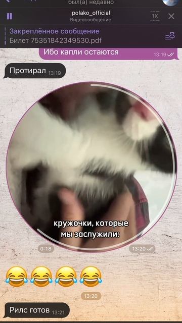 мои классы про силу, гибкость, вытяжение, технику, адаптацию… а, ой, не тот текст - здесь же про 💩