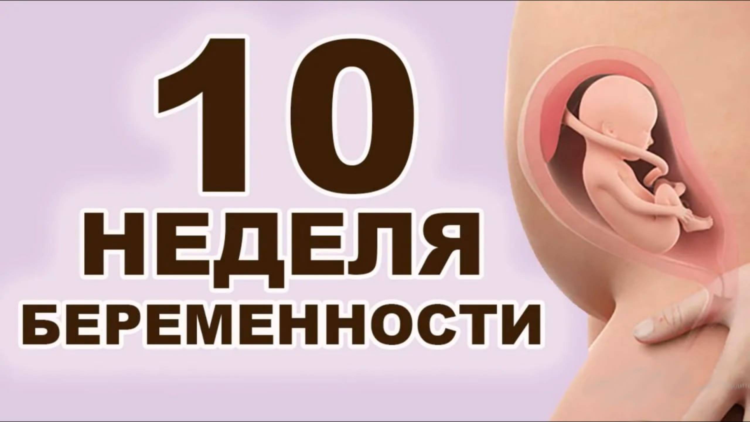 Что происходит с мамой и ребёнком на 10 неделе беременности? 3 месяц беременности. Первый триместр