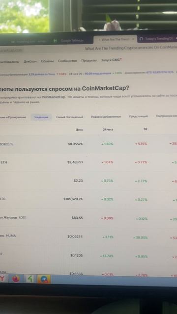 Двигаясь медленно и верно BstTraderintheworld