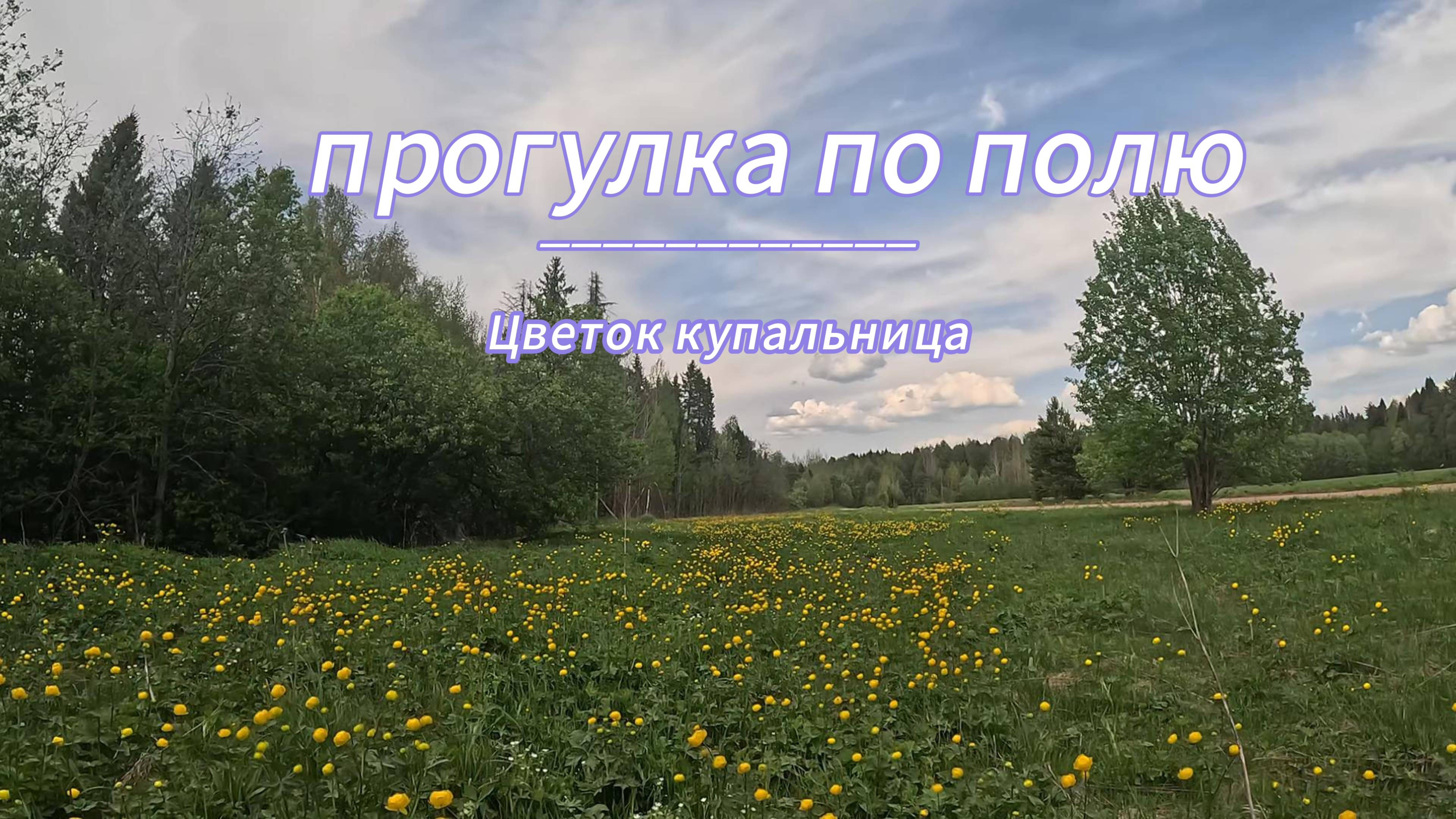 Всем хорошего дня.