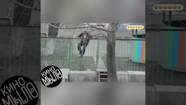 Да.. Точно "Брильянтовая рука" вспомнилась!.. 🤣