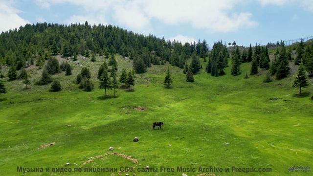 Музыка льётся так, что природа оживает на глазах - Above The Mountains -- Kirk Osamayo -- Season Two