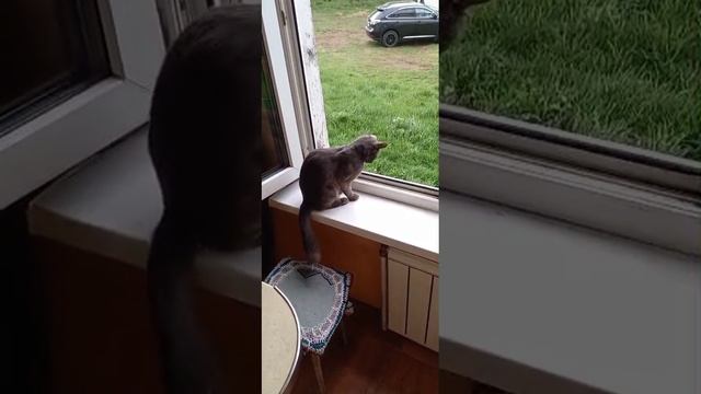 новый рэпер