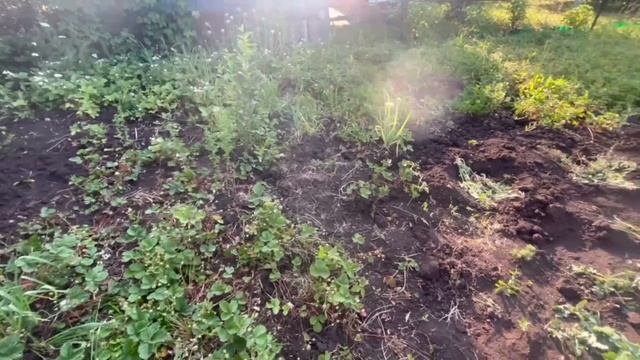 lv_0_20250609223948.mp4