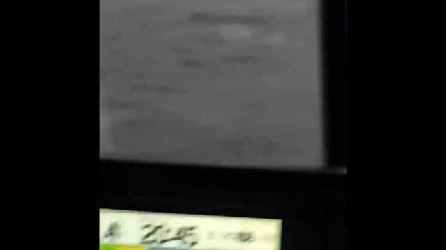 В Красноярском крае в реку Енисей вылилось около 30 тонн мазута из-за аварии теплохода.