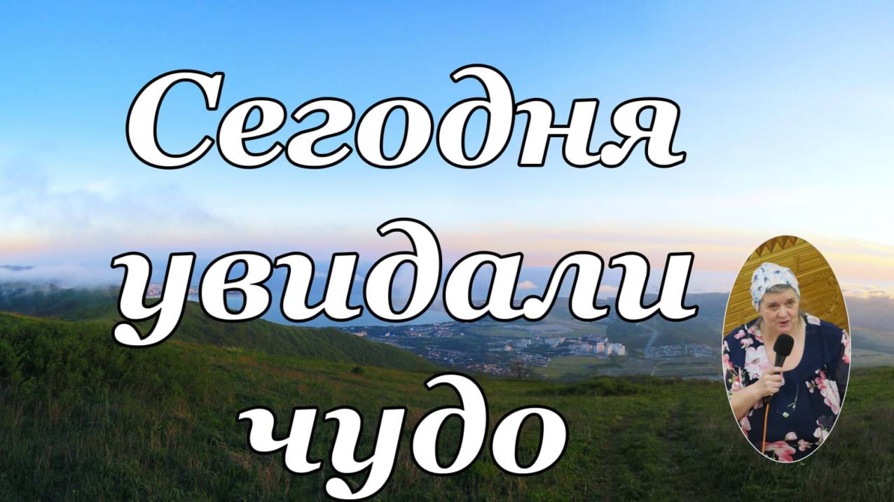 Сегодня увидали чудо  стихотворение Вера Матвейчук