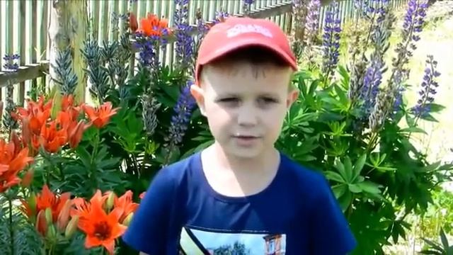 #РусскиеРифмы#Шайдурово