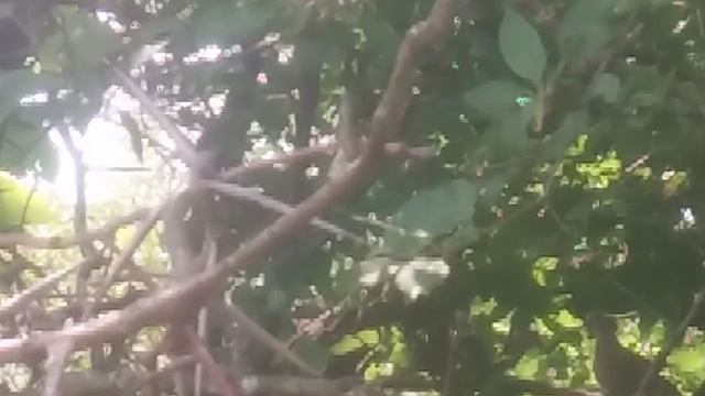 VID_20250606_113906