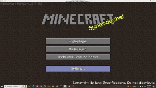I play Minecraft!