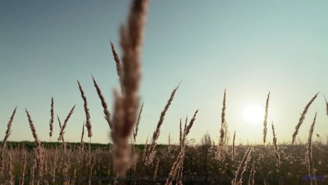 Саунд пробуждает забытые мечты о путешествиях - Sunday Funday -- Scott Holmes Music -- Music for TV