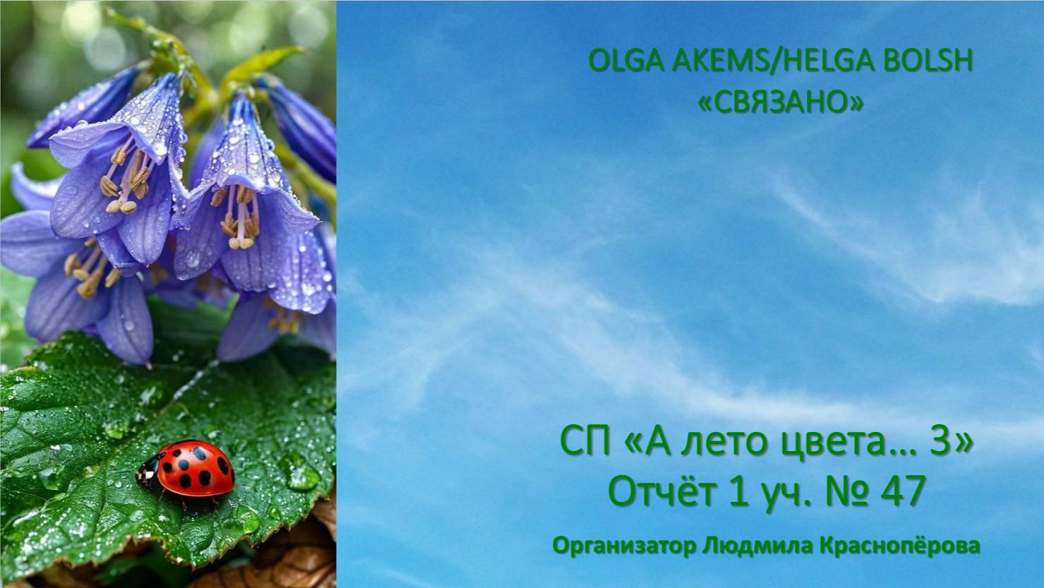 СП "А лето цвета... 3" Отчёт 1 уч. № 47