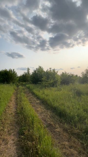 Рыбки