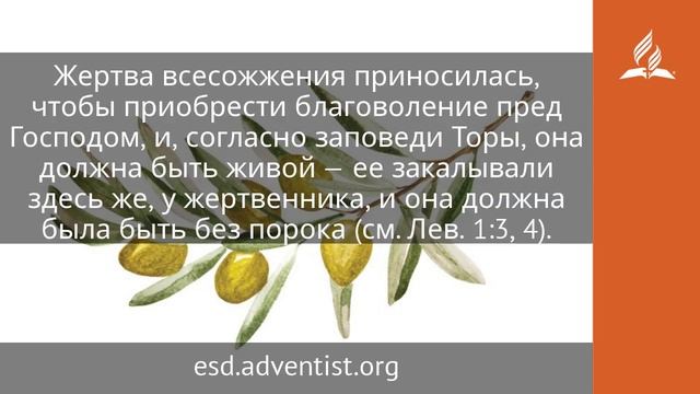 9 июня. Живая жертва. Под сенью благодати | Адвентисты
