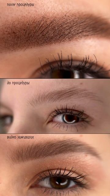 Шикарные брови для шикарной девушки