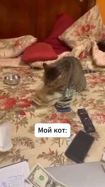 Когда ты перешёл на механизированную покраску