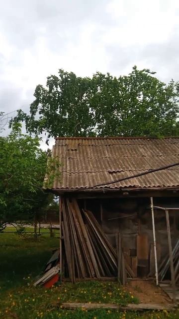 Про отношения птиц, животных и людей