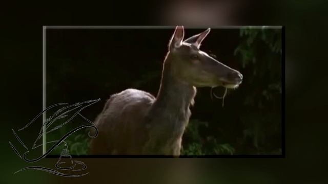 00 03 20  ПОЭТИЧЕСКИЙ ДВОР