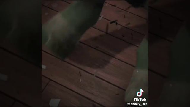 черепашки ниндзя