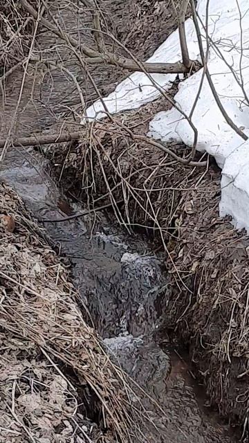 Весенние зарисовки.